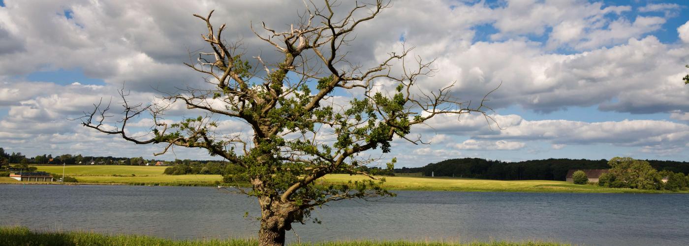 nature: _MG_0012