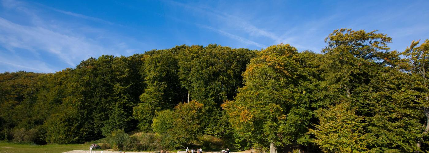 moens-klint: _MG_0860