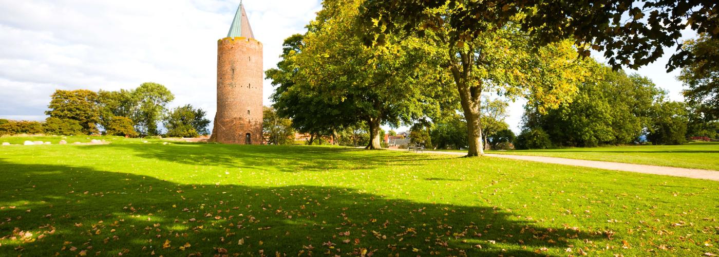 vordingborg: _MG_1166