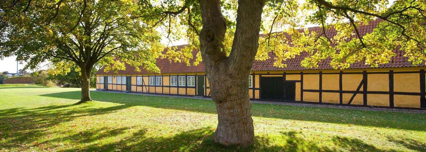 vordingborg: _MG_1174