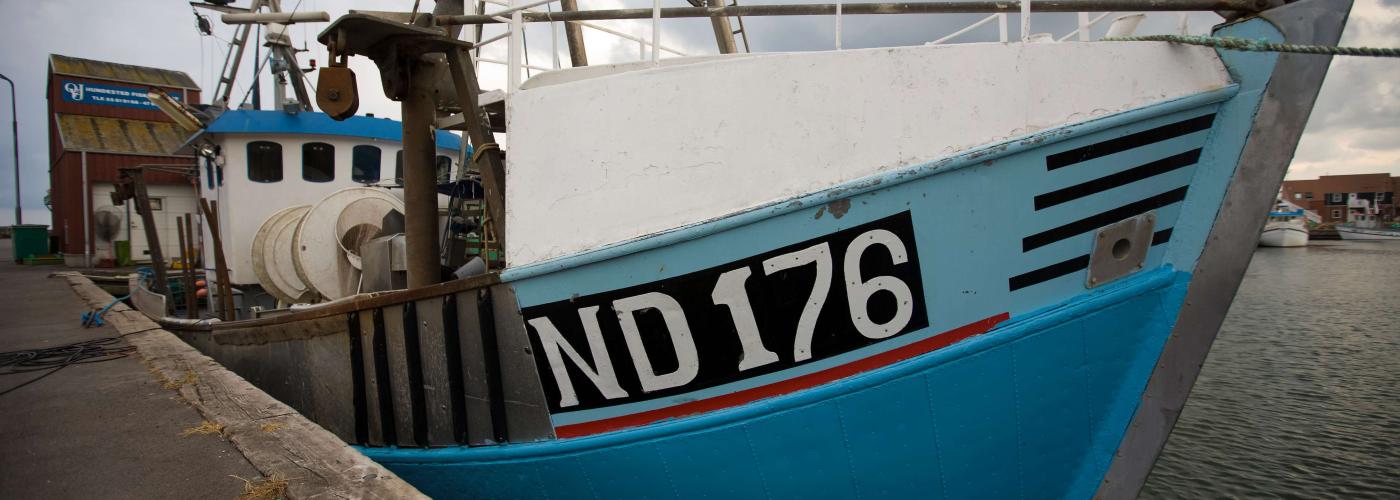 harbour: _MG_1957-2