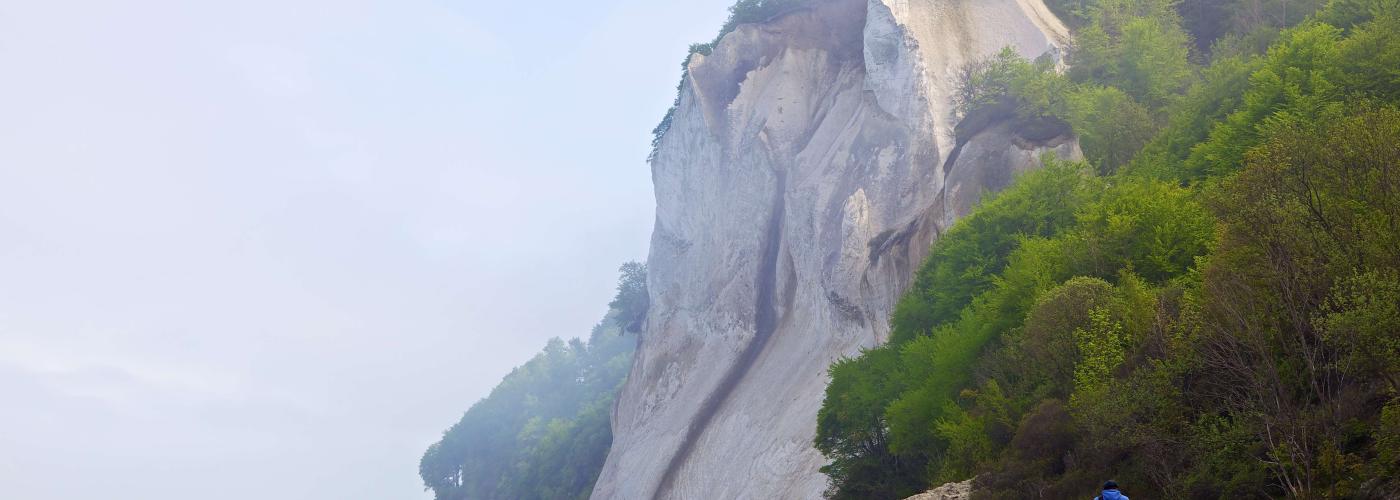 Møns Klint fog