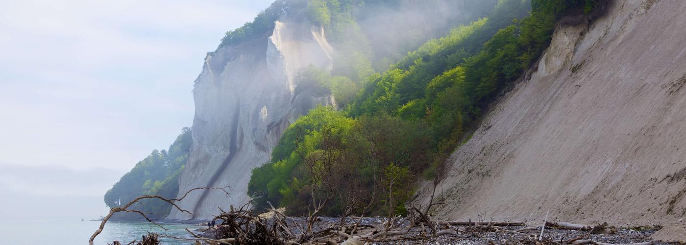 Møns Klint fog