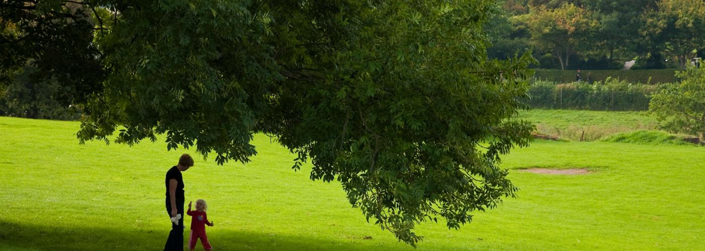 nature: _MG_2397-2