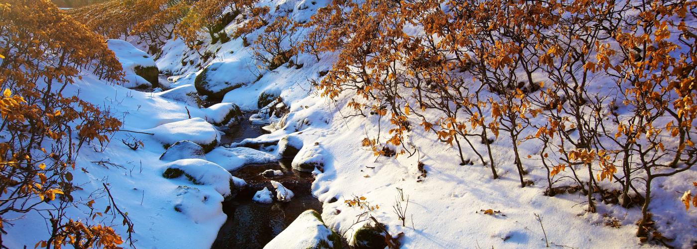 Liselund in snow