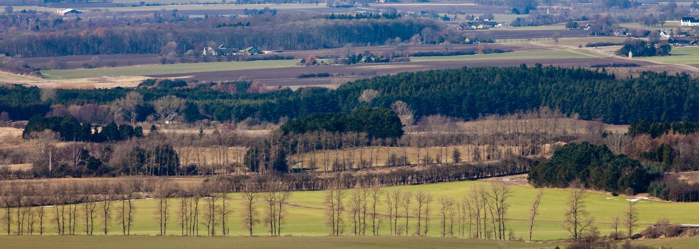 nature: _MG_3701
