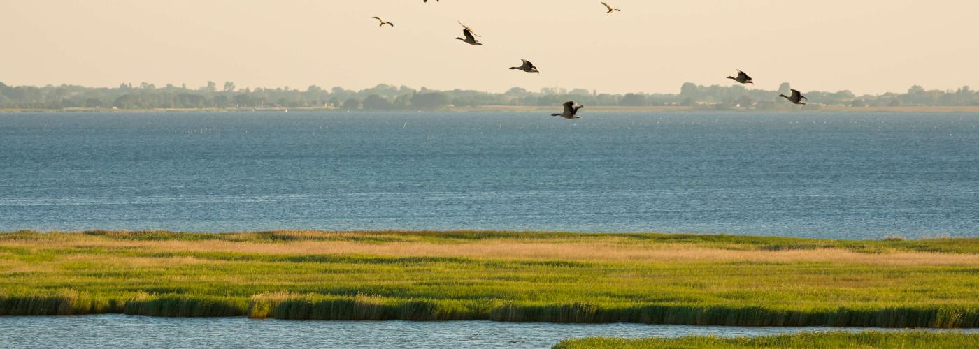 nature: _MG_4471