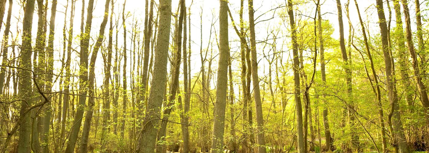 nature: _MG_6680