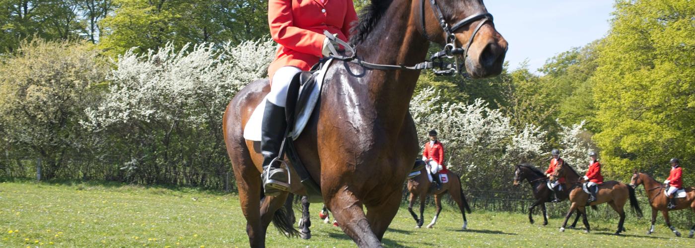 horseback riding: _MG_7214