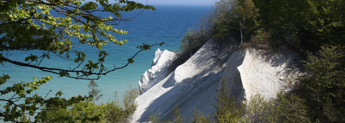 moens-klint: _MG_7349