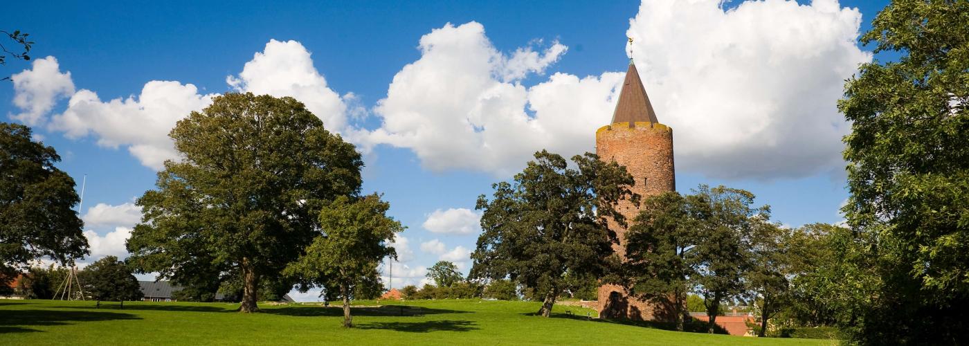 vordingborg: _MG_9381