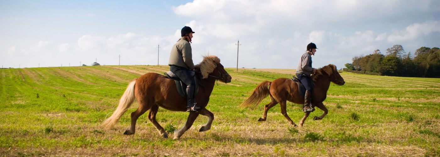 horseback riding: CRW_9013