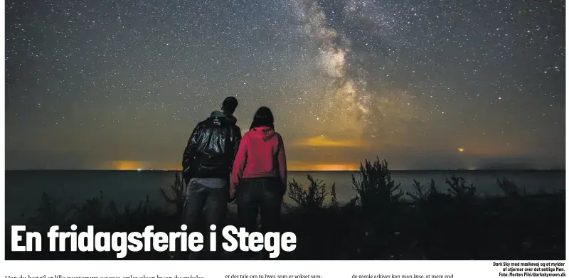 Artikel i Fynske medier
