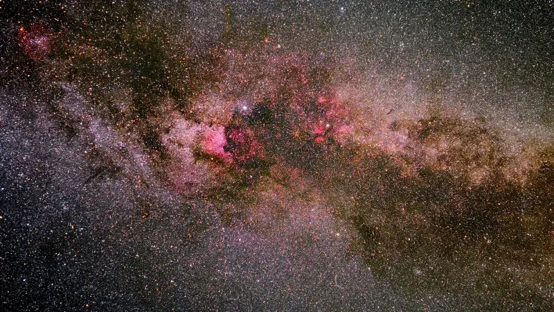 Cygnus region